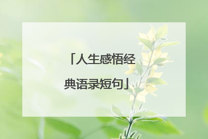 人生感悟经典语录短句