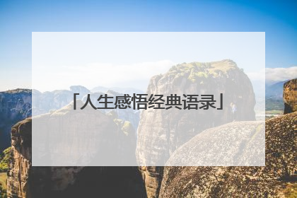 人生感悟经典语录