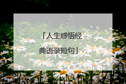 人生感悟经典语录短句