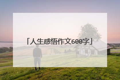 人生感悟作文600字