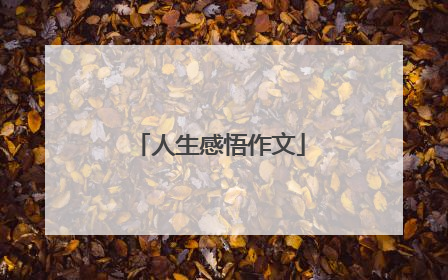 人生感悟作文