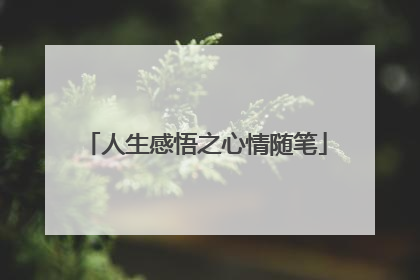 人生感悟之心情随笔