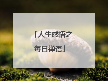 人生感悟之每日禅语