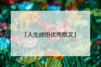 人生感悟优秀散文