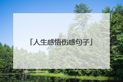 人生感悟伤感句子