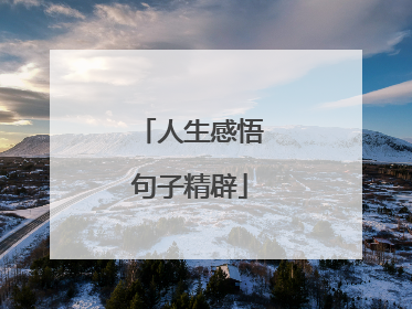 人生感悟句子精辟