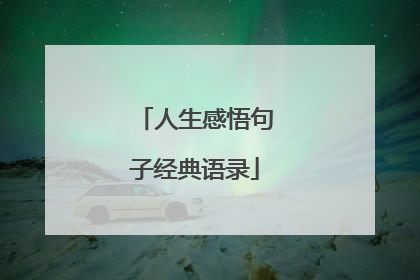 人生感悟句子经典语录