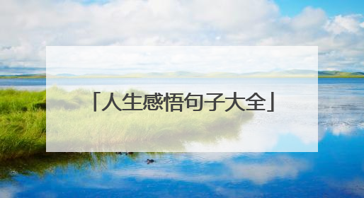 人生感悟句子大全