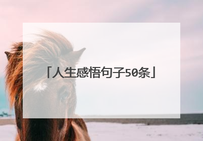 人生感悟句子50条