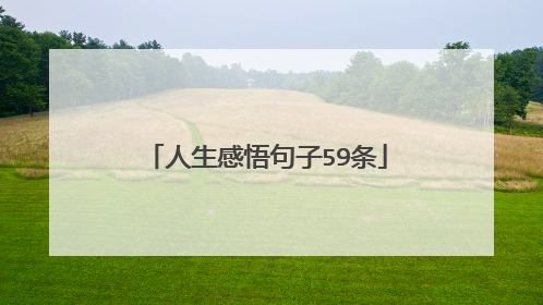 人生感悟句子59条