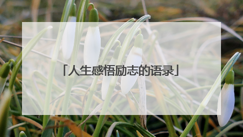 人生感悟励志的语录