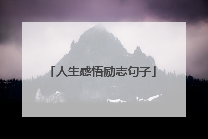 人生感悟励志句子
