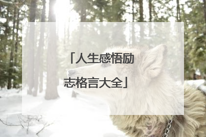 人生感悟励志格言大全