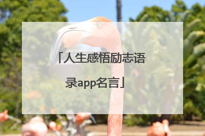 人生感悟励志语录app名言