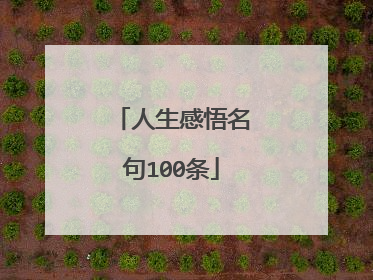 人生感悟名句100条