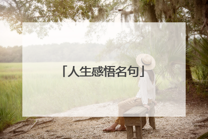 人生感悟名句