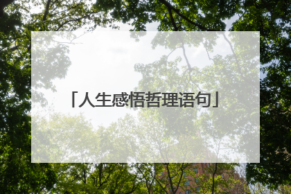 人生感悟哲理语句