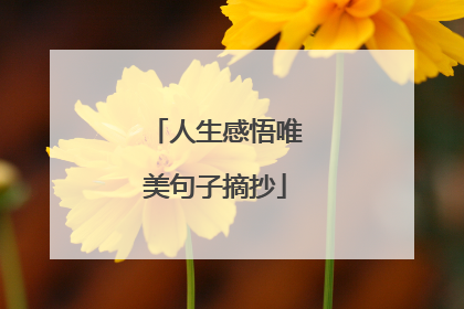 人生感悟唯美句子摘抄