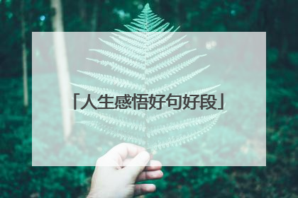 人生感悟好句好段