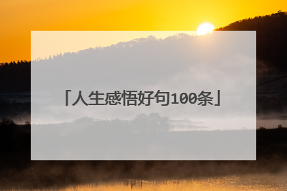 人生感悟好句100条