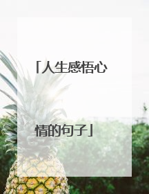 人生感悟心情的句子