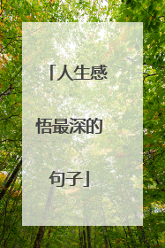 人生感悟最深的句子