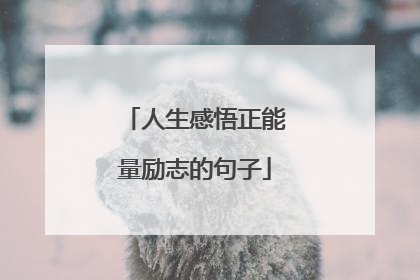 人生感悟正能量励志的句子