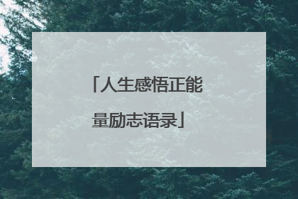 人生感悟正能量励志语录