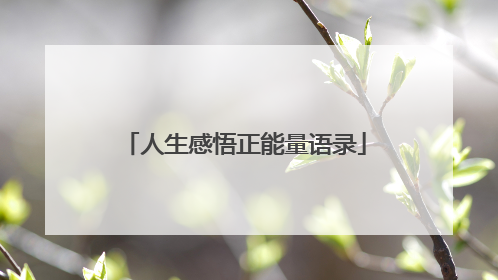 人生感悟正能量语录