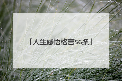 人生感悟格言56条
