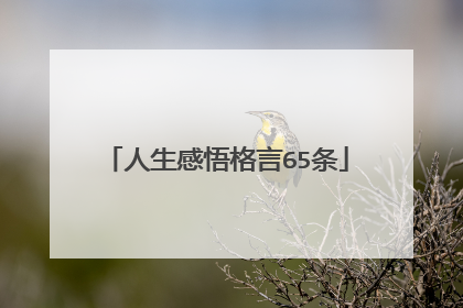 人生感悟格言65条