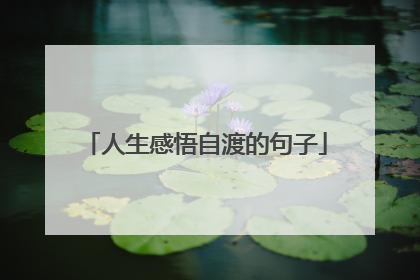 人生感悟自渡的句子