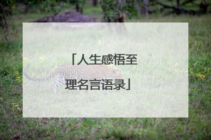 人生感悟至理名言语录