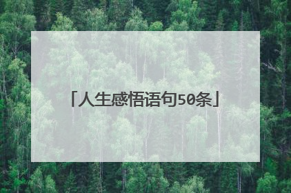 人生感悟语句50条