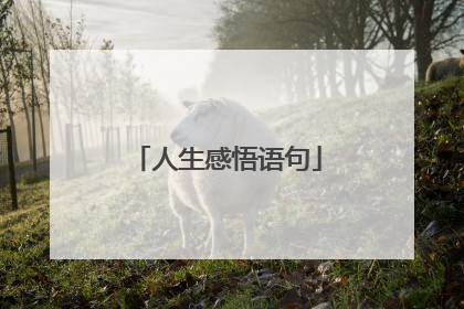人生感悟语句
