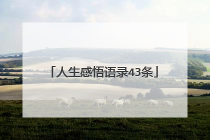人生感悟语录43条
