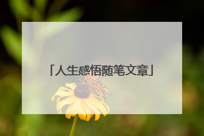 人生感悟随笔文章