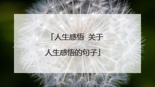 人生感悟 关于人生感悟的句子