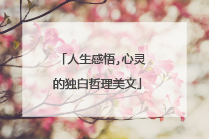 人生感悟,心灵的独白哲理美文