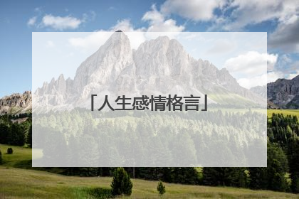 人生感情格言