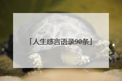 人生感言语录90条