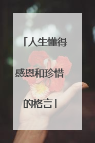 人生懂得感恩和珍惜的格言
