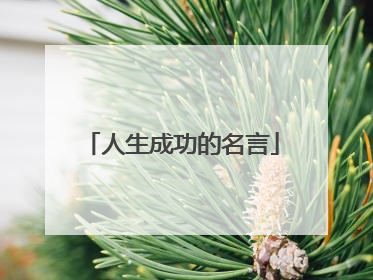人生成功的名言