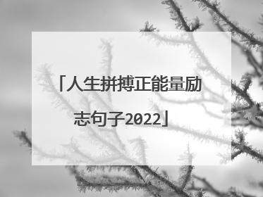 人生拼搏正能量励志句子2022