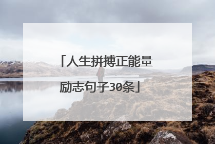 人生拼搏正能量励志句子30条