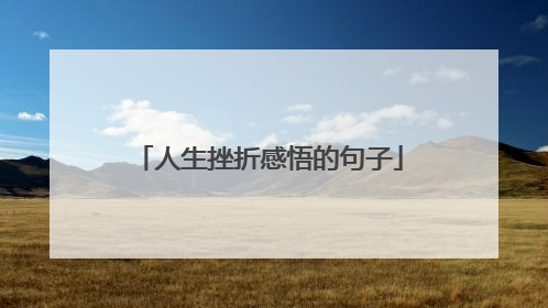 人生挫折感悟的句子