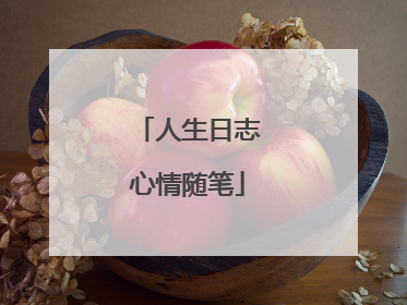 人生日志心情随笔