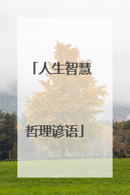 人生智慧哲理谚语