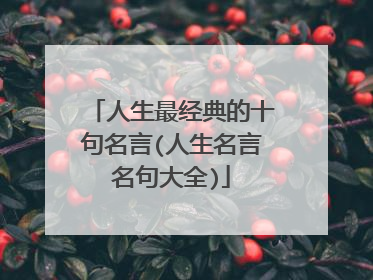 人生最经典的十句名言(人生名言名句大全)