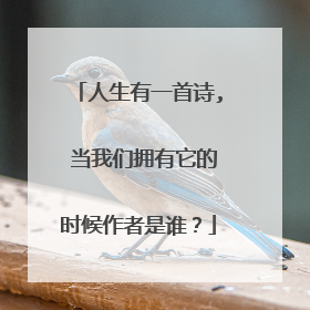 人生有一首诗, 当我们拥有它的时候作者是谁？